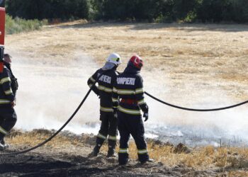 Zi de foc pentru pompieri. Incendii la Tulcea, Mahmudia, Murighiol și Florești