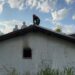 Incendiu la o casă părăsită din municipiu