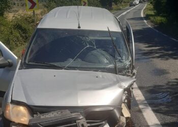 Doamnă la volan, preocupată de altceva decât…circulația