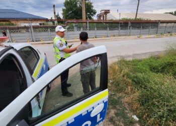 Sezonul aprovizionării dubioase cu lemne de foc. Controale la Măcin