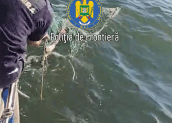 Braconaj la Marea Neagră/ Plase de pescuit cu sturioni în ele descoperite de polițiștii de frontieră