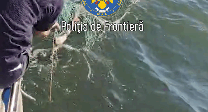 Braconaj la Marea Neagră/ Plase de pescuit cu sturioni în ele descoperite de polițiștii de frontieră
