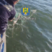 Braconaj la Marea Neagră/ Plase de pescuit cu sturioni în ele descoperite de polițiștii de frontieră