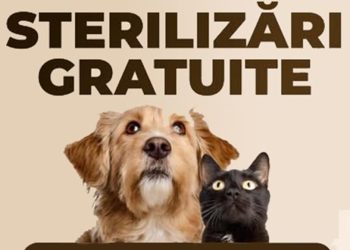 Primăria Tulcea lansează o nouă campanie de sterilizare gratuită pentru câini și pisici