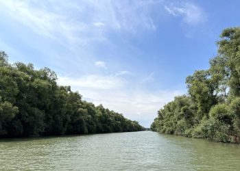 Dispărut în Deltă