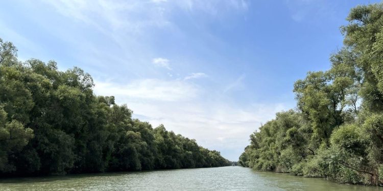 Dispărut în Deltă