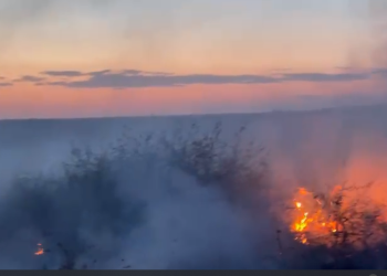 Incendiu și la Casimcea cu pericol de propagare la pădure