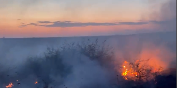Incendiu și la Casimcea cu pericol de propagare la pădure