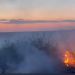 Incendiu și la Casimcea cu pericol de propagare la pădure
