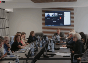 Când pisica nu-i acasă…