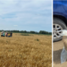 Controale masive în Deltă cu 14 instituții și autorități de control