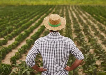 Apel APIA către fermierii uituci: Semnați cererea pentru subvenții!