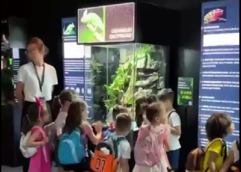 „Școala Altfel” ori „Săptămâna Verde” la Reptiland