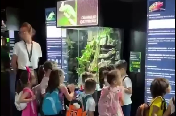 „Școala Altfel” ori „Săptămâna Verde” la Reptiland