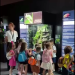 „Școala Altfel” ori „Săptămâna Verde” la Reptiland