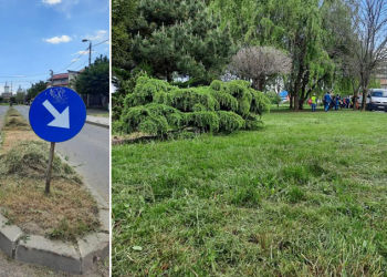 Două zile, se cosește iarba în Lotizare