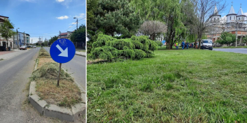 Două zile, se cosește iarba în Lotizare