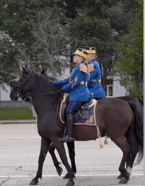 Avansări în grad de Ziua Jandarmeriei Române