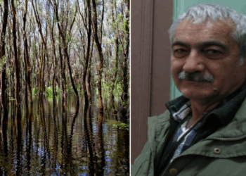 Degradarea Pădurii Letea, explicată de dr. Kiss J. Botond