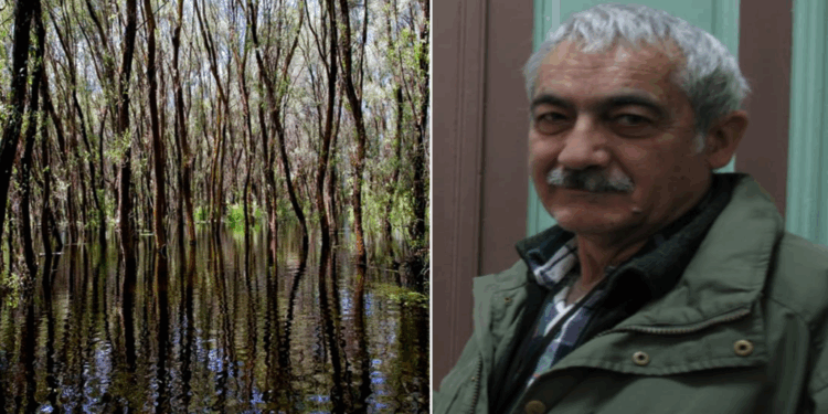 Degradarea Pădurii Letea, explicată de dr. Kiss J. Botond
