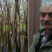 Degradarea Pădurii Letea, explicată de dr. Kiss J. Botond