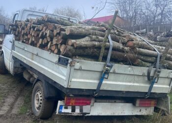 Depistat în Văcăreni cu mașină încărcată cu lemne, fără acte