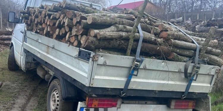 Depistat în Văcăreni cu mașină încărcată cu lemne, fără acte