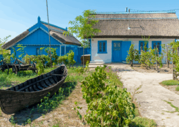 Ordonanță de Guvern/ Pentru locuitorii din Deltă, reducere cu 50% a impozitului pe proprietate