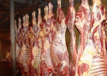 Recomandările veterinarilor în preajma sărbătorilor pascale