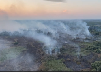 Cauza probabilă: Blestemul lui Rece!