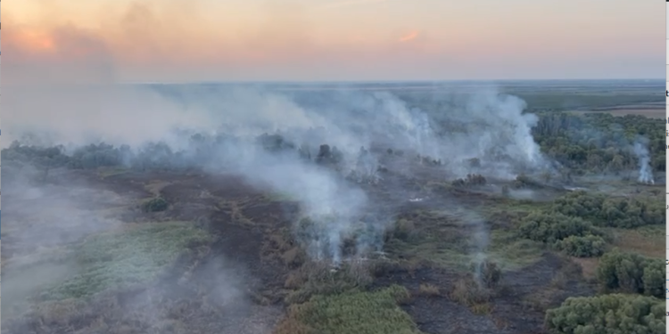 Cauza probabilă: Blestemul lui Rece!