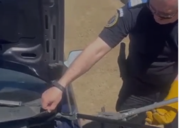 Surpriza de sub capotă/Un șarpe dat jos cu jandarmii din mașina unui sătean din Malcoci