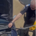 Surpriza de sub capotă/Un șarpe dat jos cu jandarmii din mașina unui sătean din Malcoci