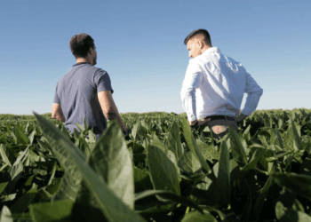 Înghesuială de fermieri la subvenția în avans de la APIA