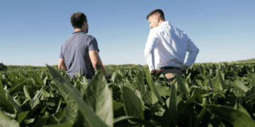 Înghesuială de fermieri la subvenția în avans de la APIA