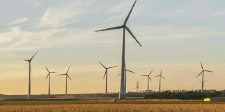 Verbund își face stație de stocare a energiei în baterii în ansamblul eolian de la Casimcea